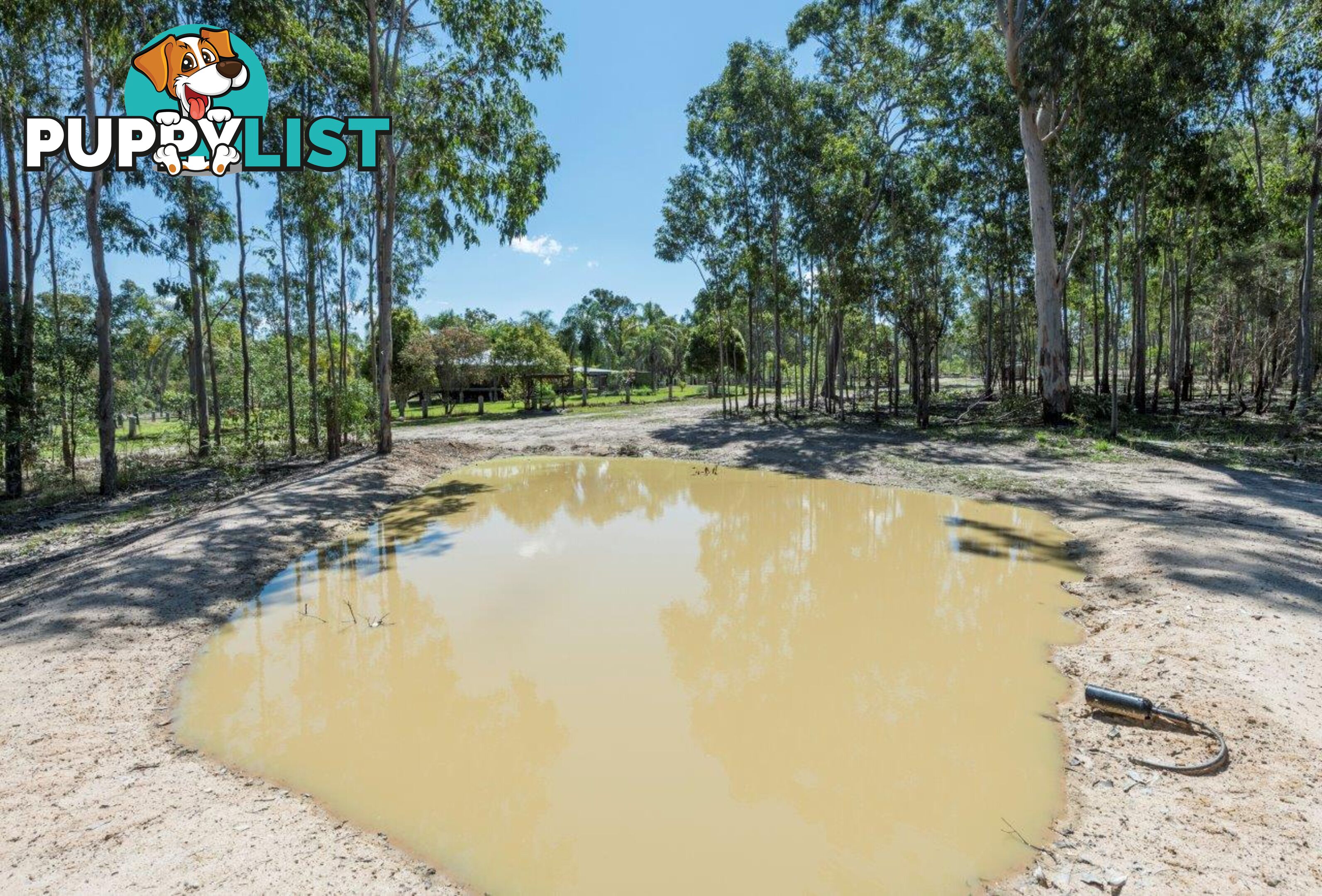 2122 Summerland Way WARRAGAI CREEK NSW 2460