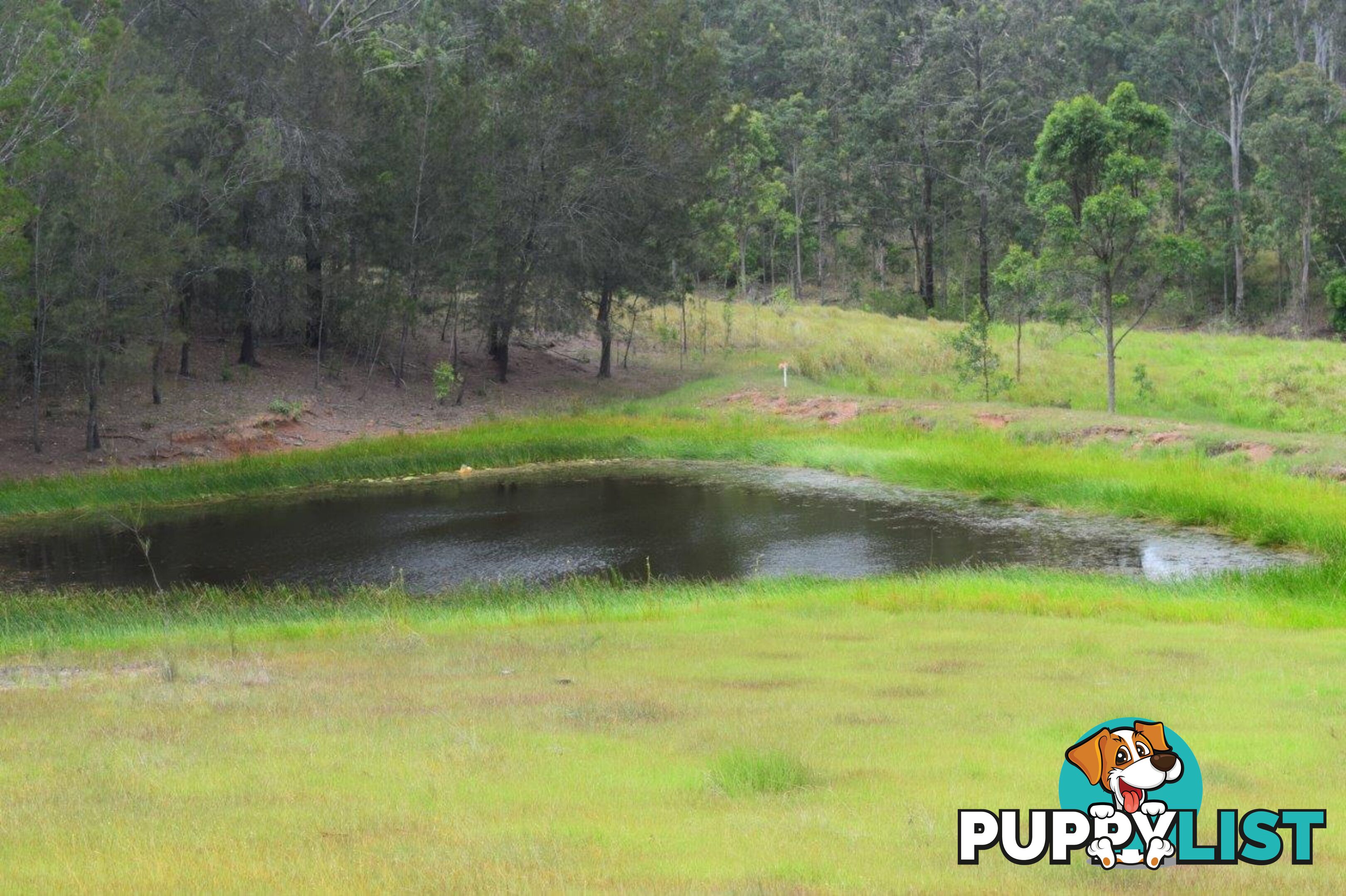 Lot 751 Smiths Creek Road UPPER COPMANHURST NSW 2460