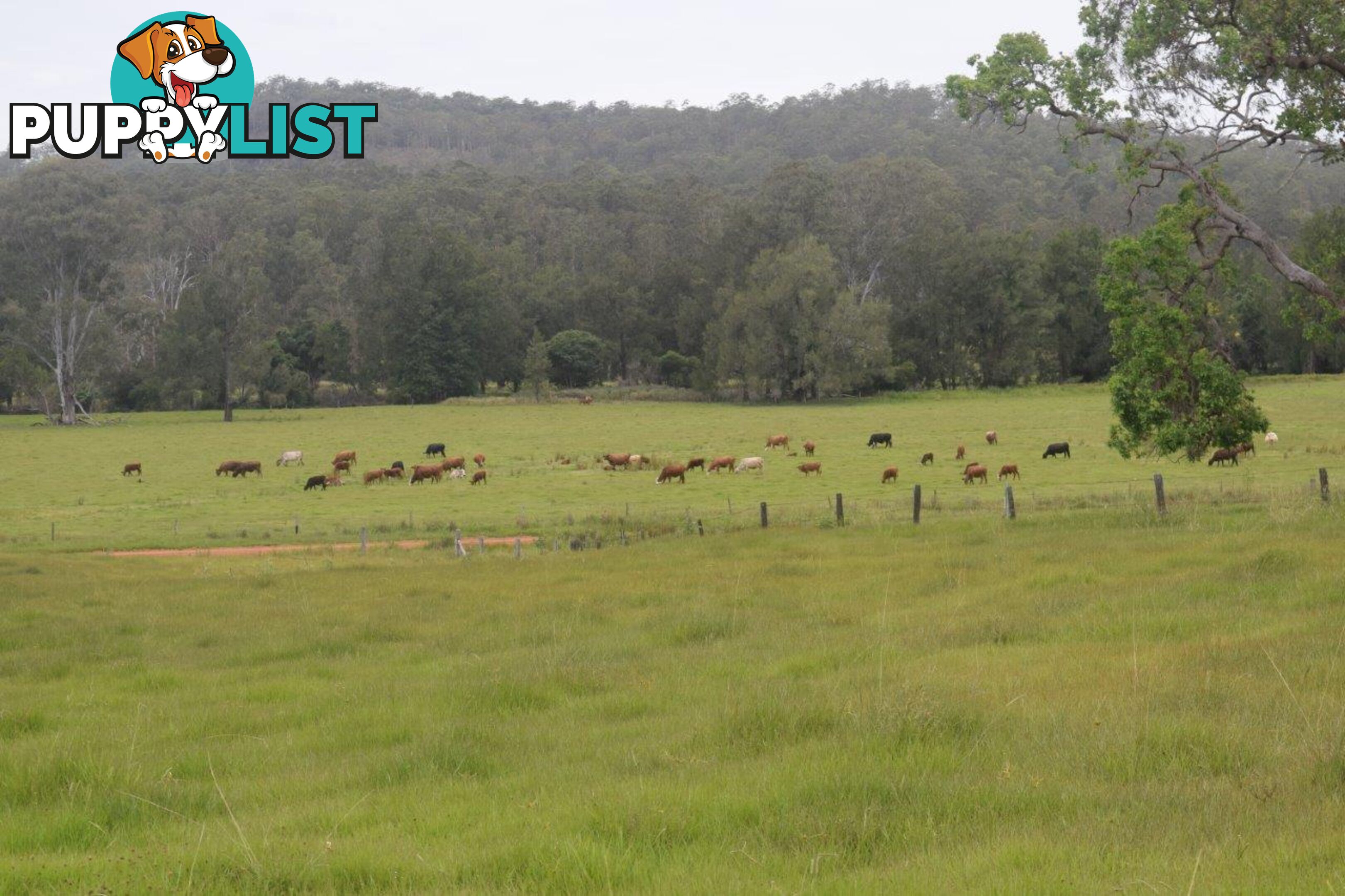 Lot 751 Smiths Creek Road UPPER COPMANHURST NSW 2460