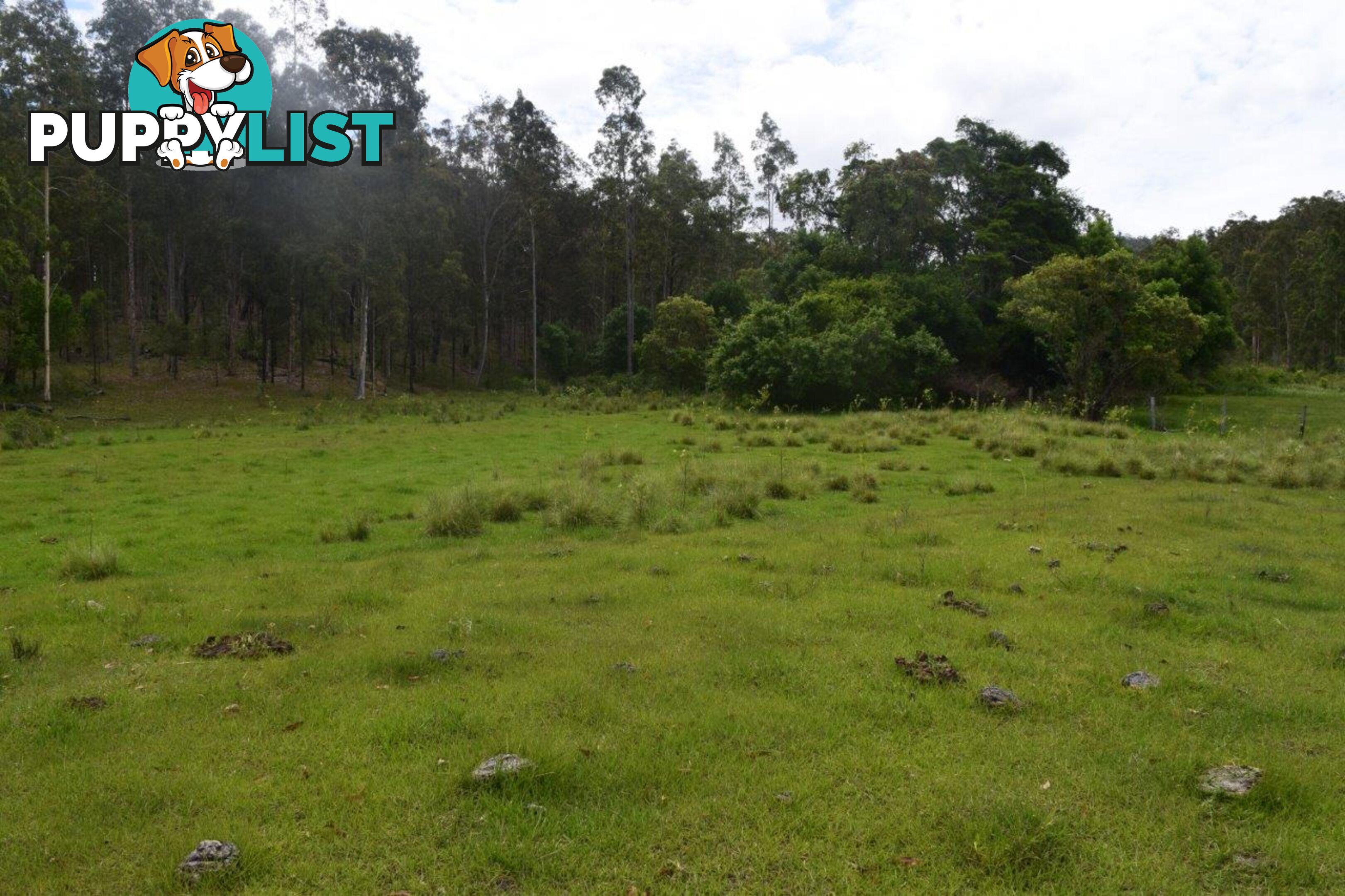 Lot 751 Smiths Creek Road UPPER COPMANHURST NSW 2460