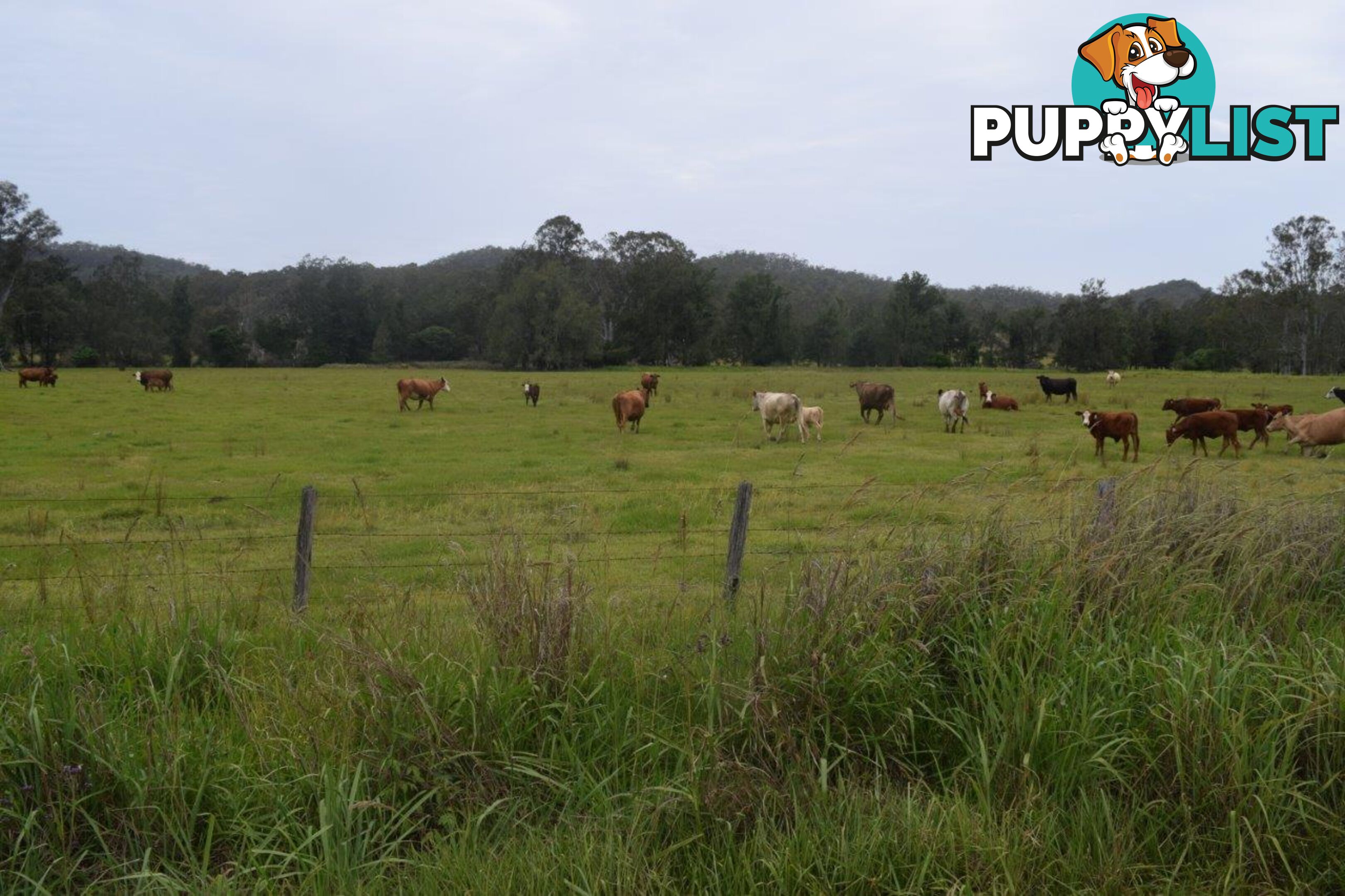 Lot 751 Smiths Creek Road UPPER COPMANHURST NSW 2460