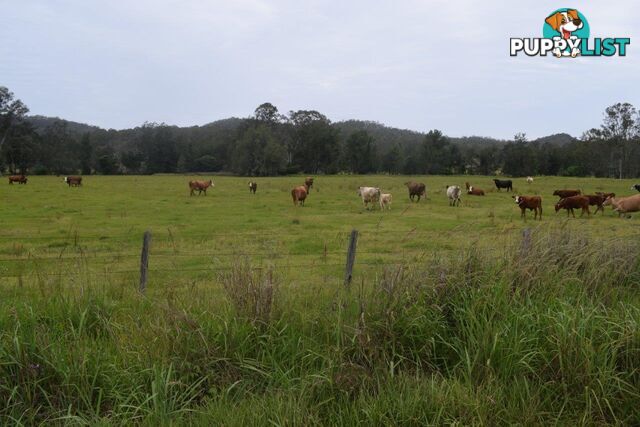 Lot 751 Smiths Creek Road UPPER COPMANHURST NSW 2460