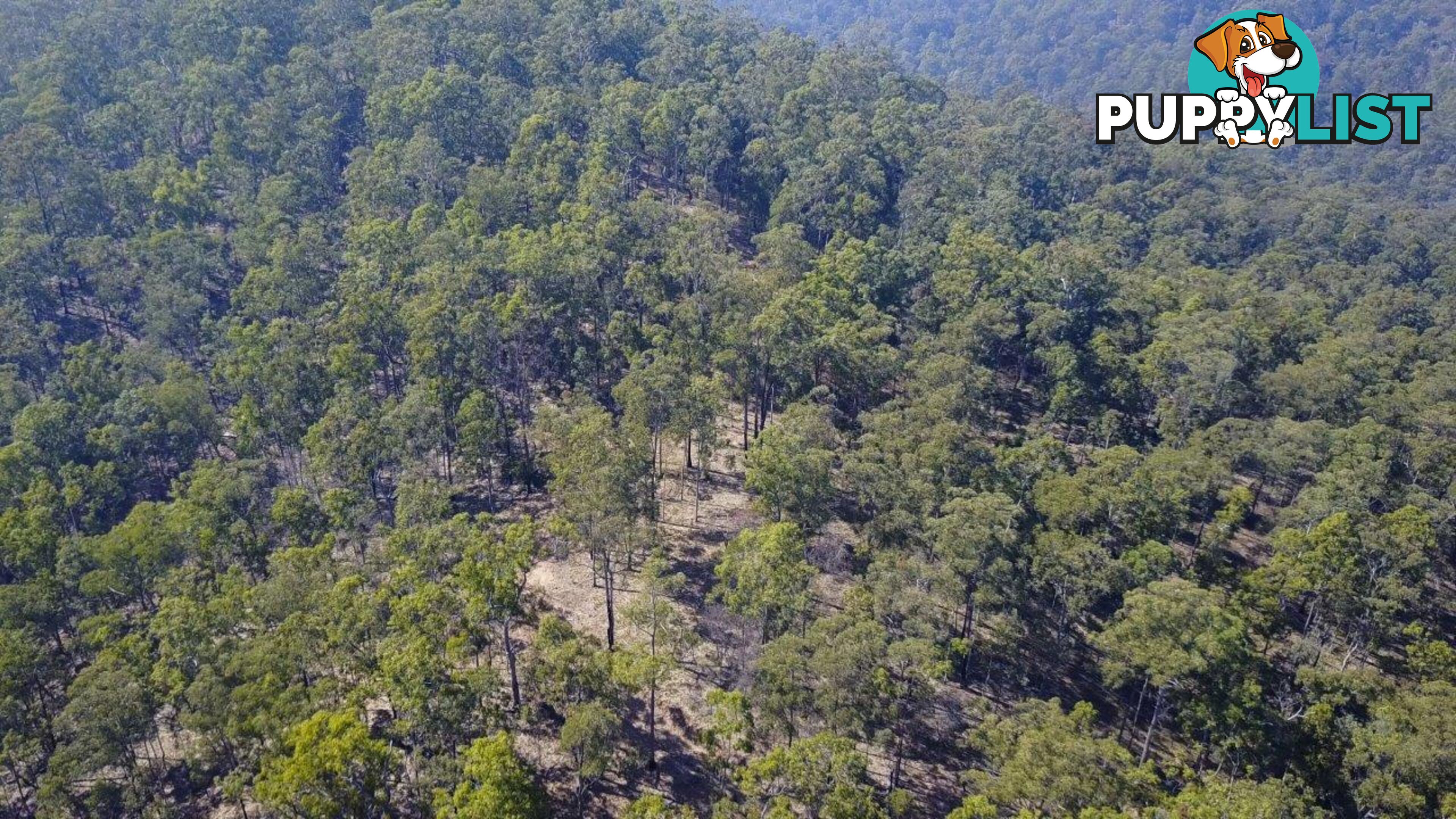 Lot 751 Smiths Creek Road UPPER COPMANHURST NSW 2460