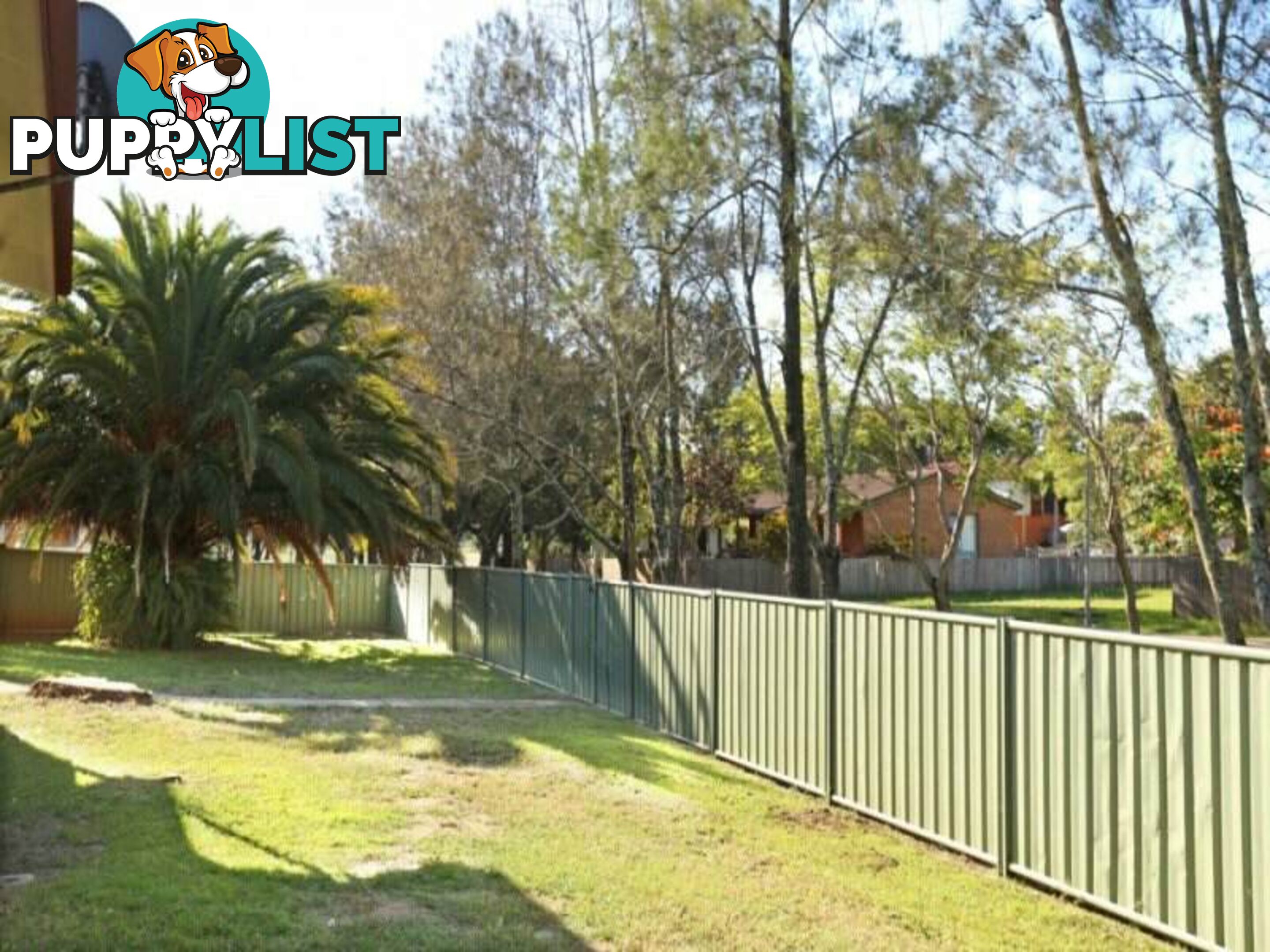 3 Coolabah Way SOUTH GRAFTON NSW 2460