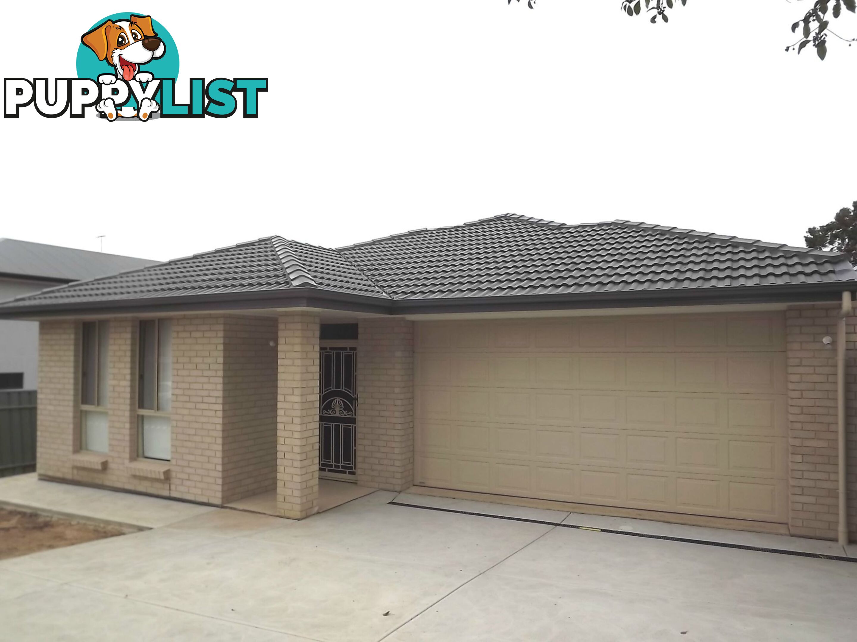 1C Milne Street Vale Park SA 5081