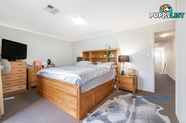 41 Macmillan Ave Mawson Lakes SA 5095