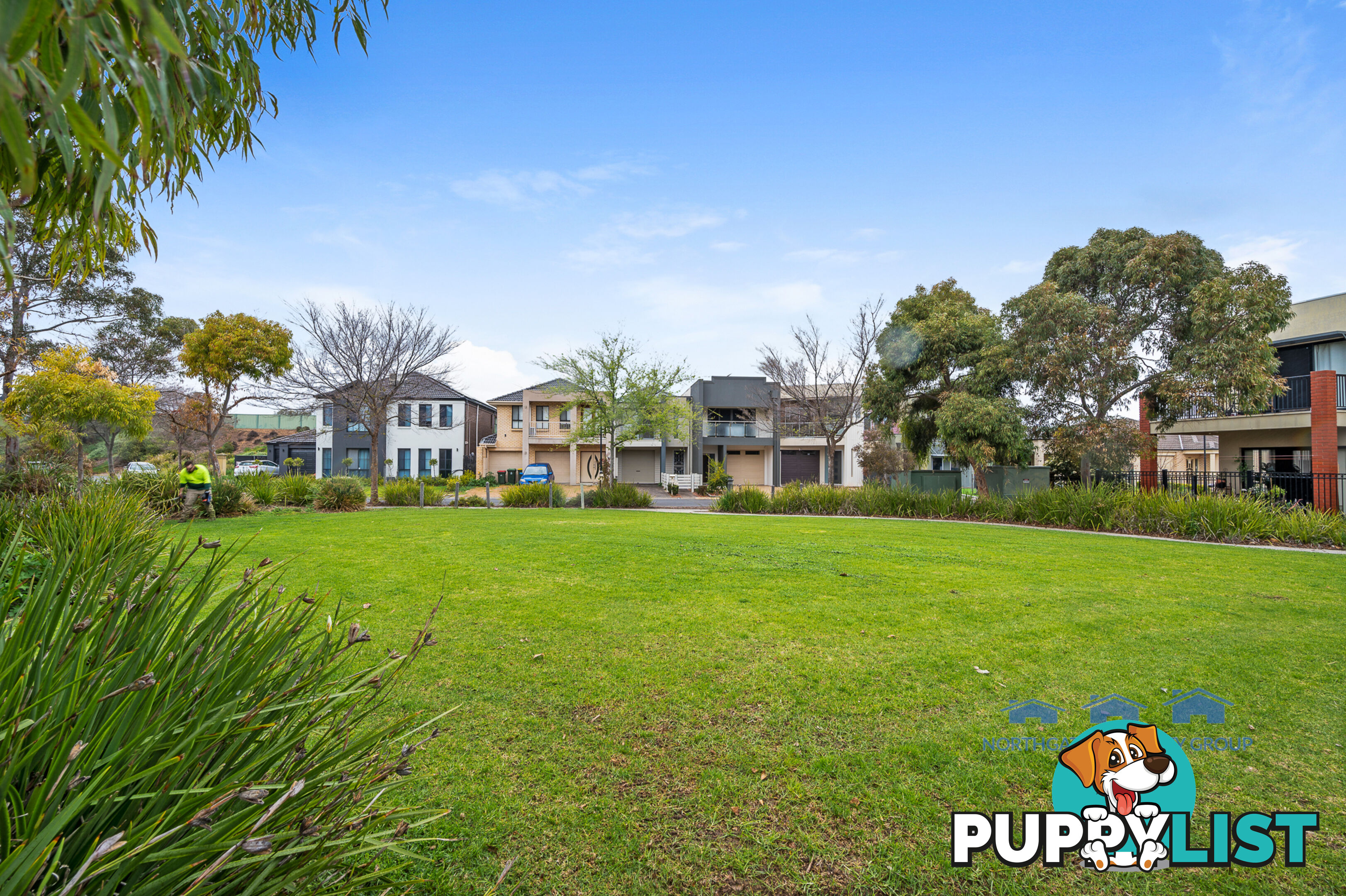 41 Macmillan Ave Mawson Lakes SA 5095