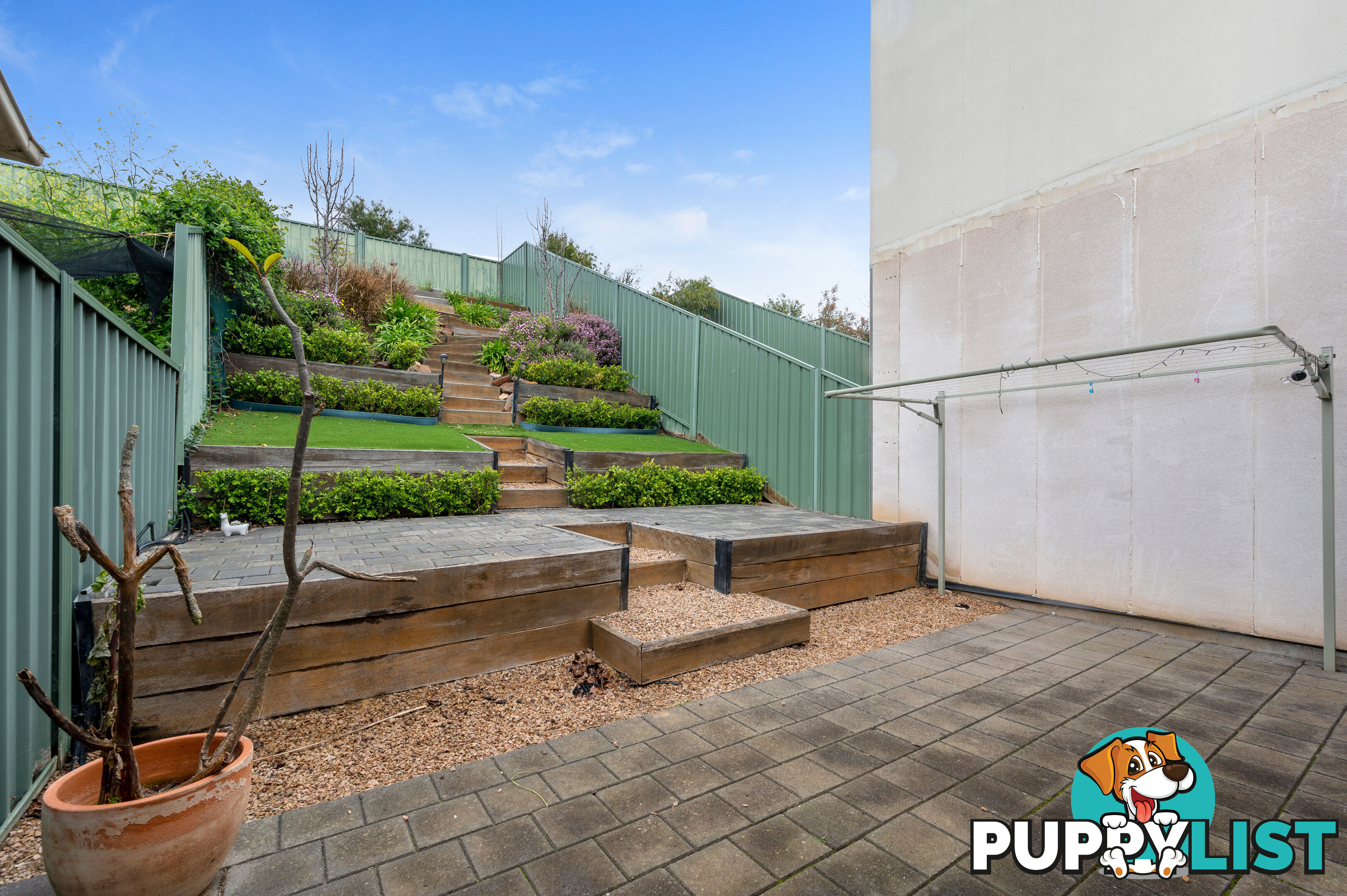 41 Macmillan Ave Mawson Lakes SA 5095