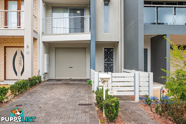 41 Macmillan Ave Mawson Lakes SA 5095