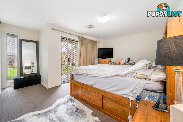 41 Macmillan Ave Mawson Lakes SA 5095