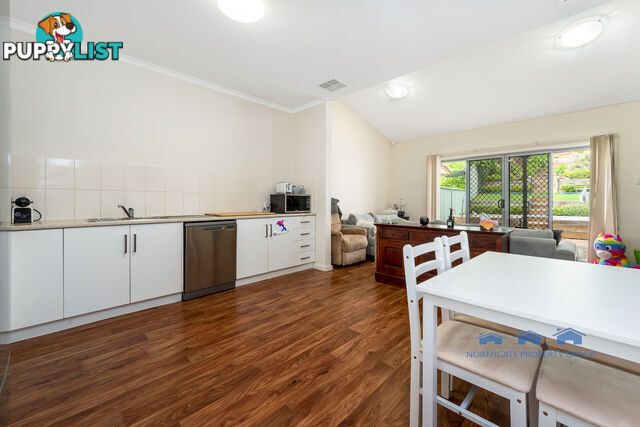 41 Macmillan Ave Mawson Lakes SA 5095