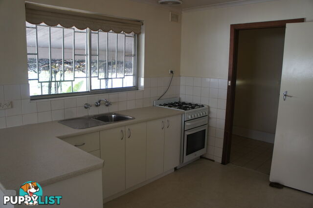 12 Harris Street Paradise SA 5075