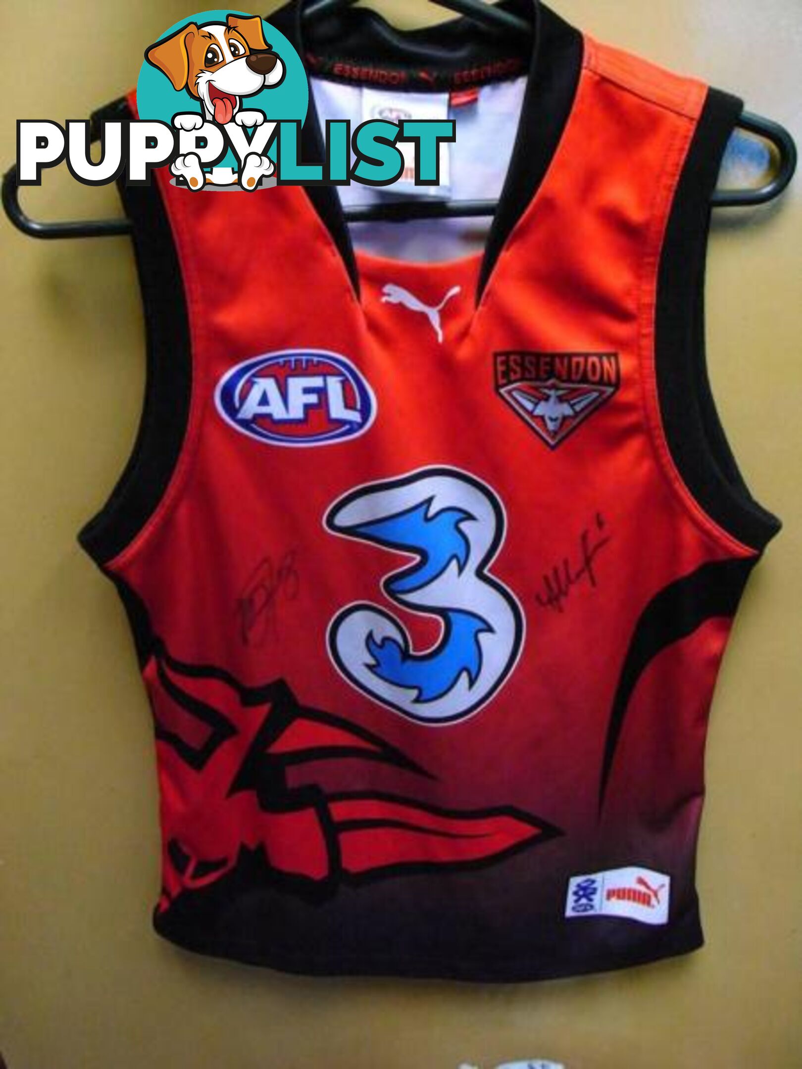 ******SIGNED*****ESSENDON FOOTBALL CLUBS PUMA SIZE