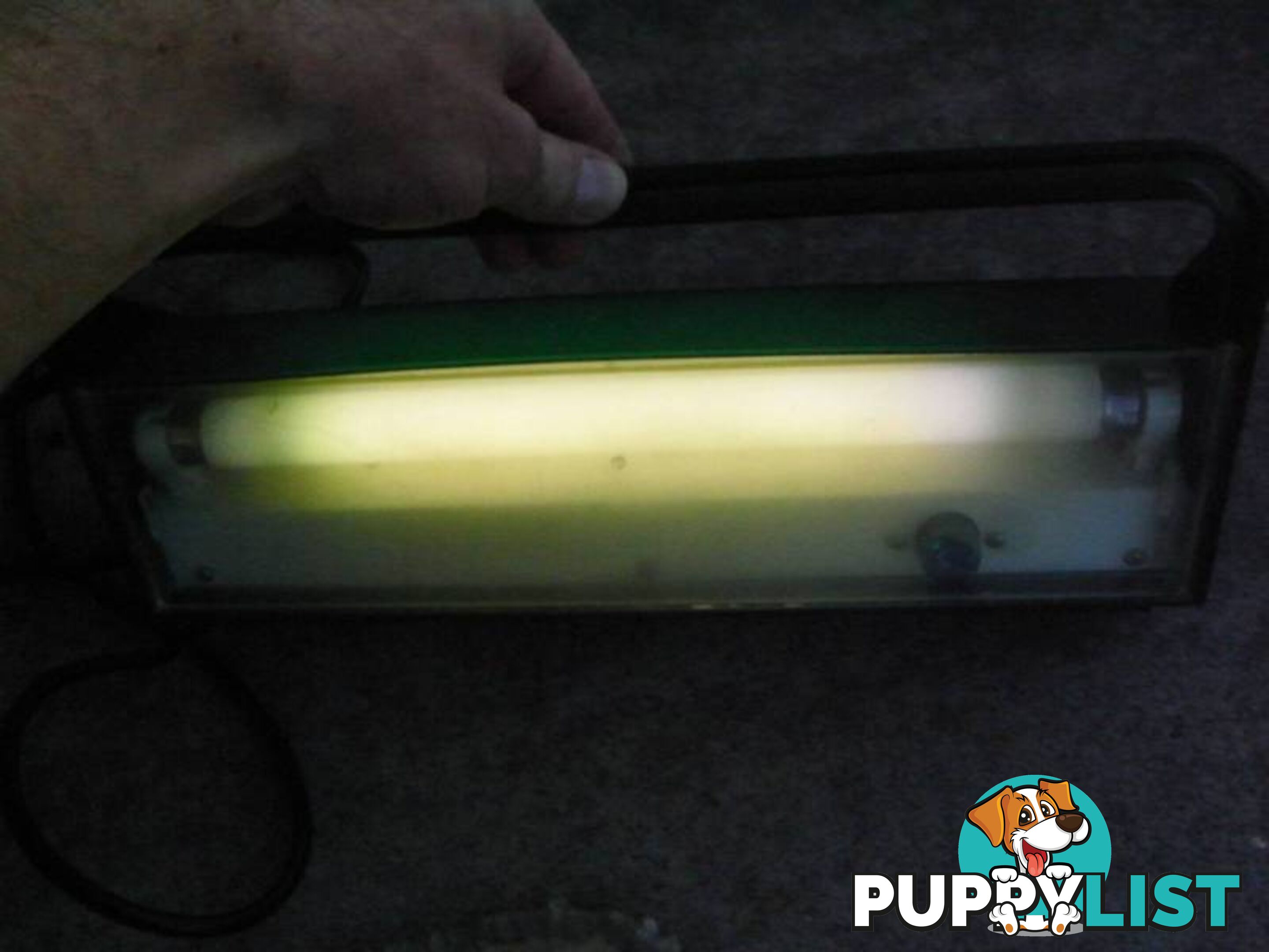 PET PARADISE LIGHTS PICKUP 3168 OR POST 12.99