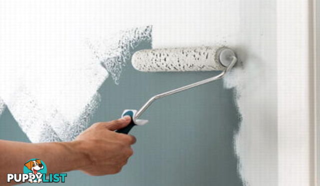 Painting Service in Moorooduc