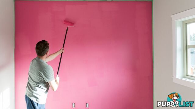 Painting Service in Devon Meadows