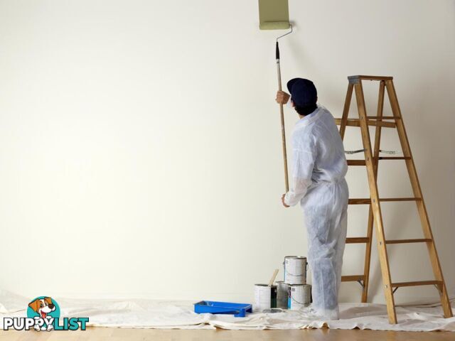 Painting Service in Frankston South