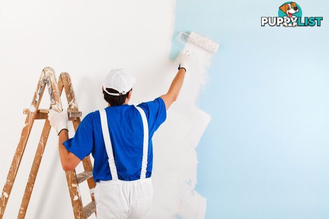 Painting Service in Hastings