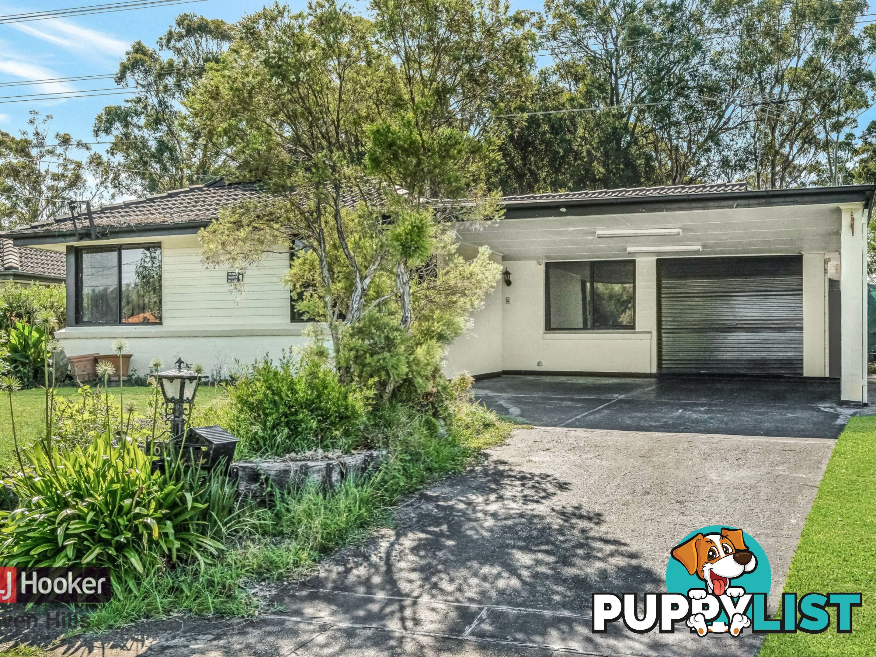 6 Mitumba Road SEVEN HILLS NSW 2147