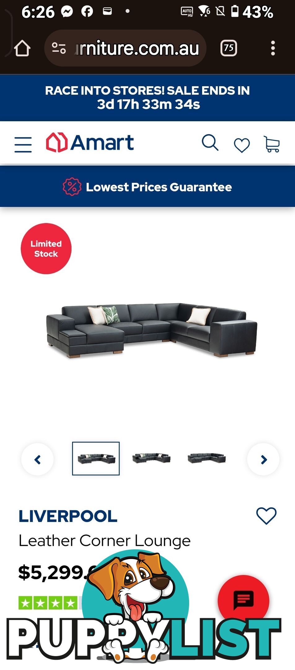 Large family leather lounge