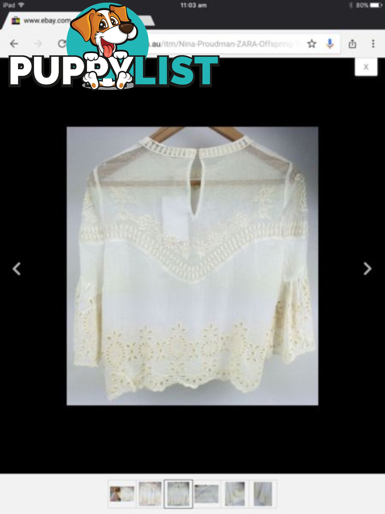 New Zara " Nina Proudman " Lace Bell Sleeve Blouse