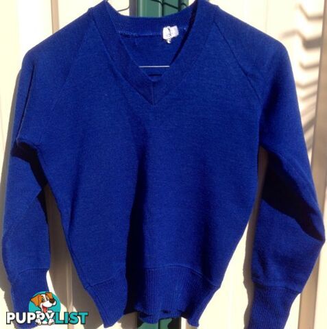 Children's Pure Wool Royal Blue Jumper