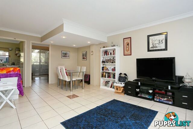 13/19-23 First Street KINGSWOOD NSW 2747