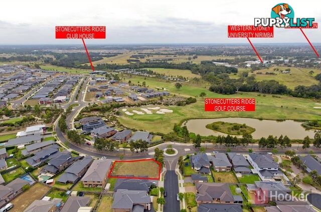 41 Stonecutters Drive COLEBEE NSW 2761