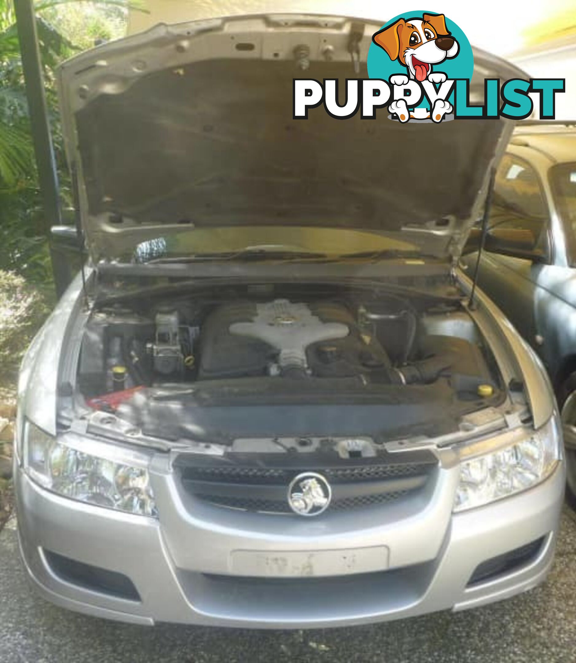 2006 HOLDEN COMMODORE EXECUTIVE  4D WAGON