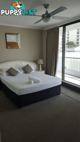 9 Trickett street SURFERS PARADISE QLD 4217