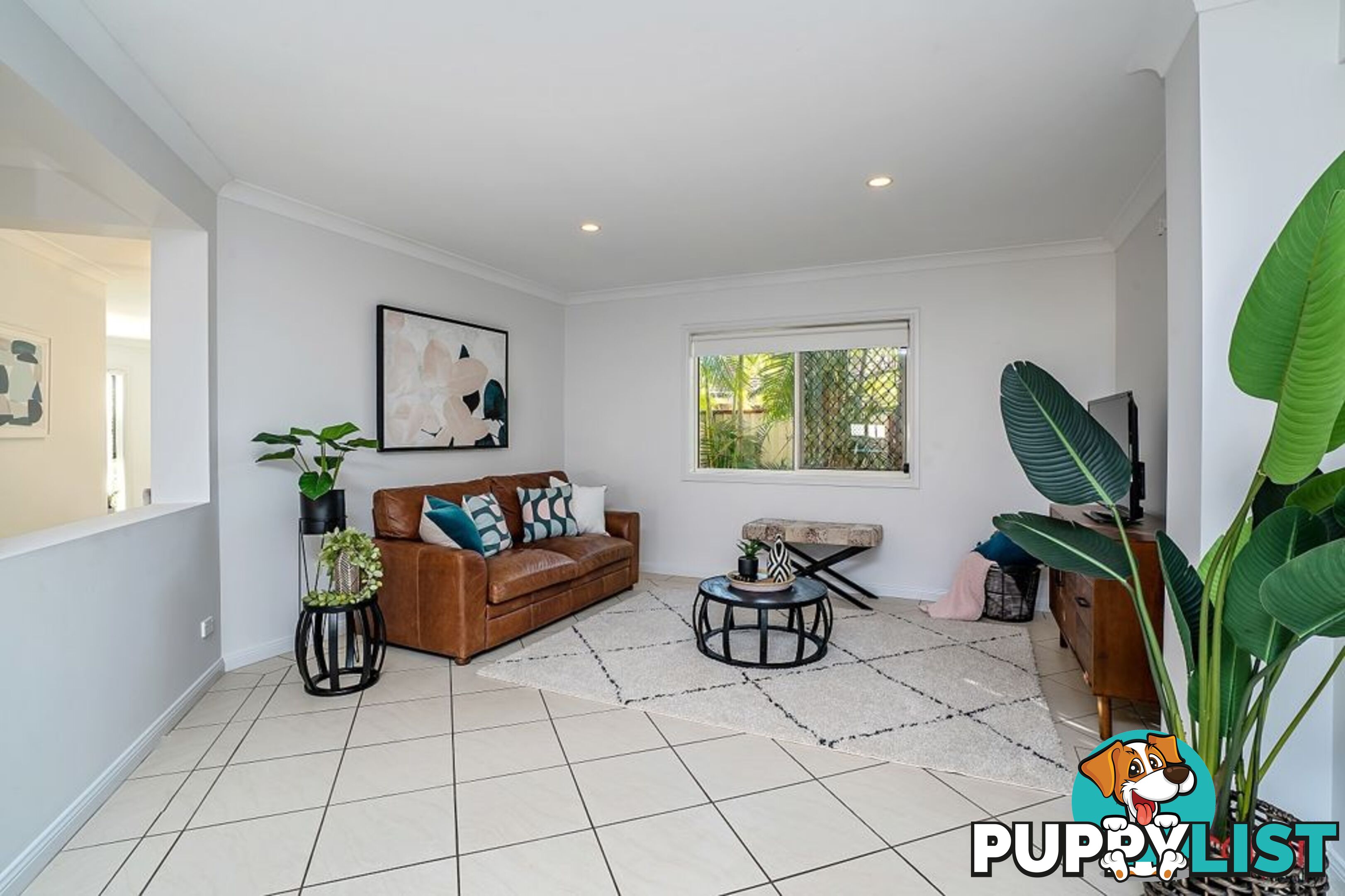 3 Wattlebrush Grove MOLENDINAR QLD 4214