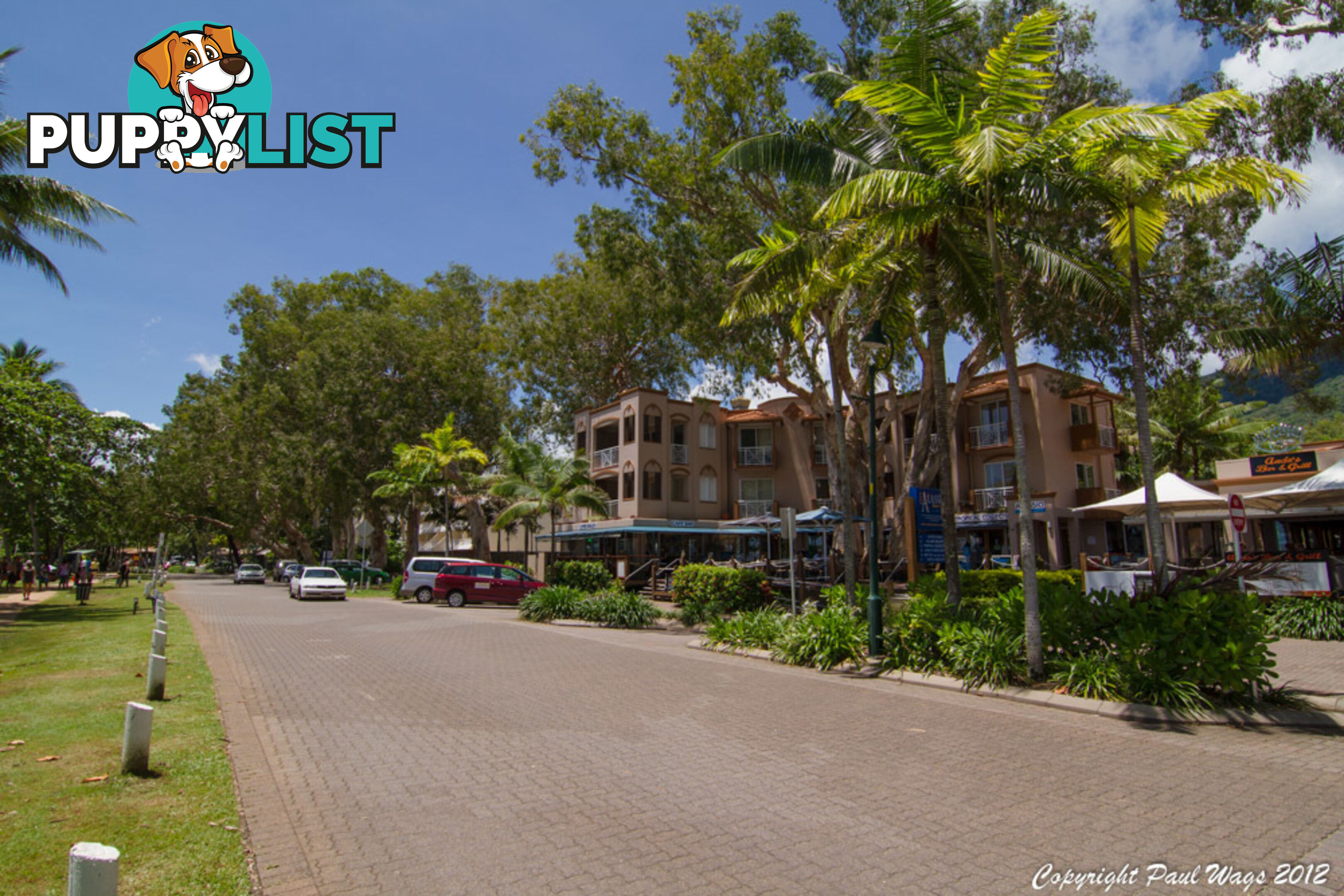 Lot 4 Triton Street PALM COVE QLD 4879