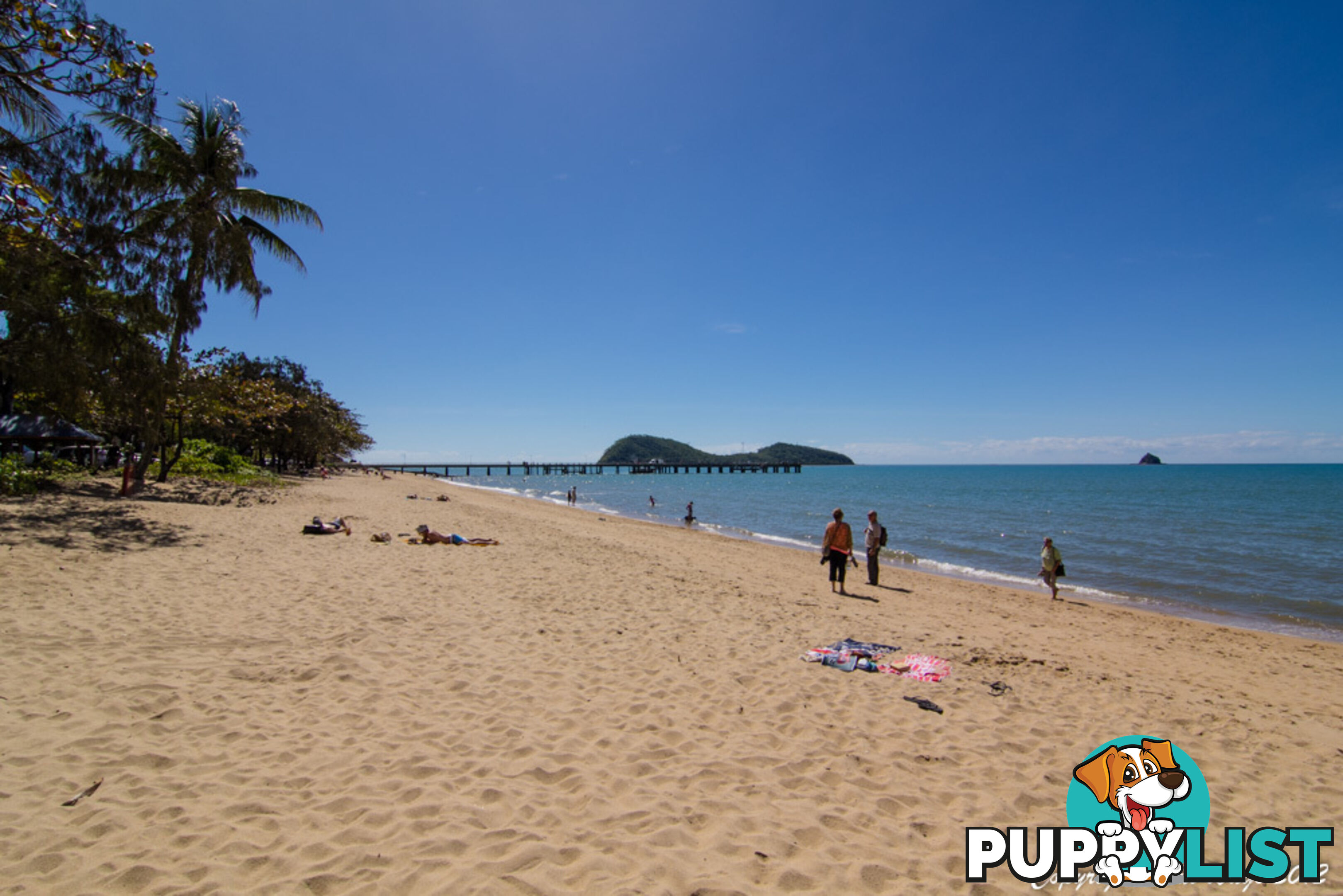 Lot 4 Triton Street PALM COVE QLD 4879