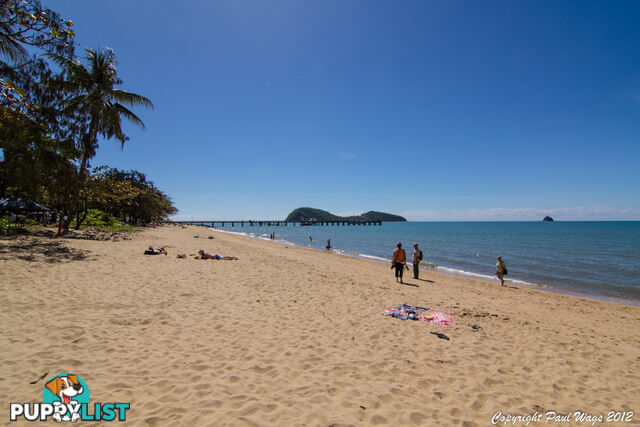 Lot 4 Triton Street PALM COVE QLD 4879