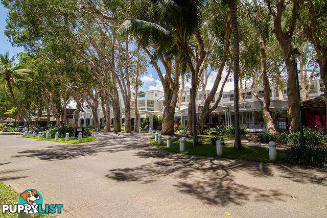 Lot 4 Triton Street PALM COVE QLD 4879