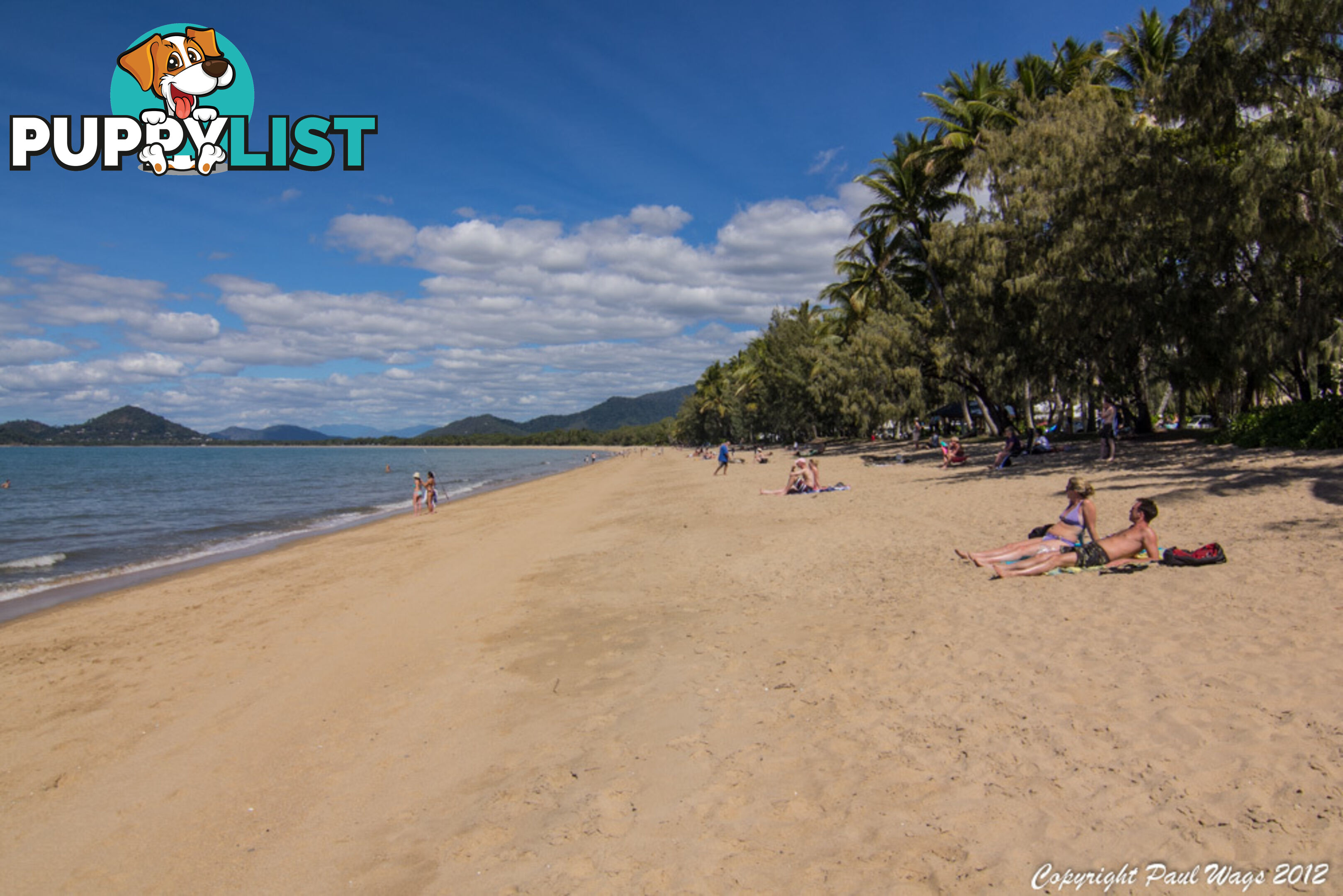 Lot 4 Triton Street PALM COVE QLD 4879