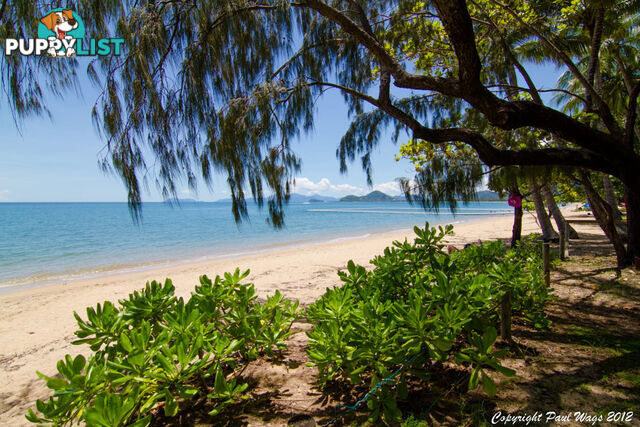 Lot 4 Triton Street PALM COVE QLD 4879