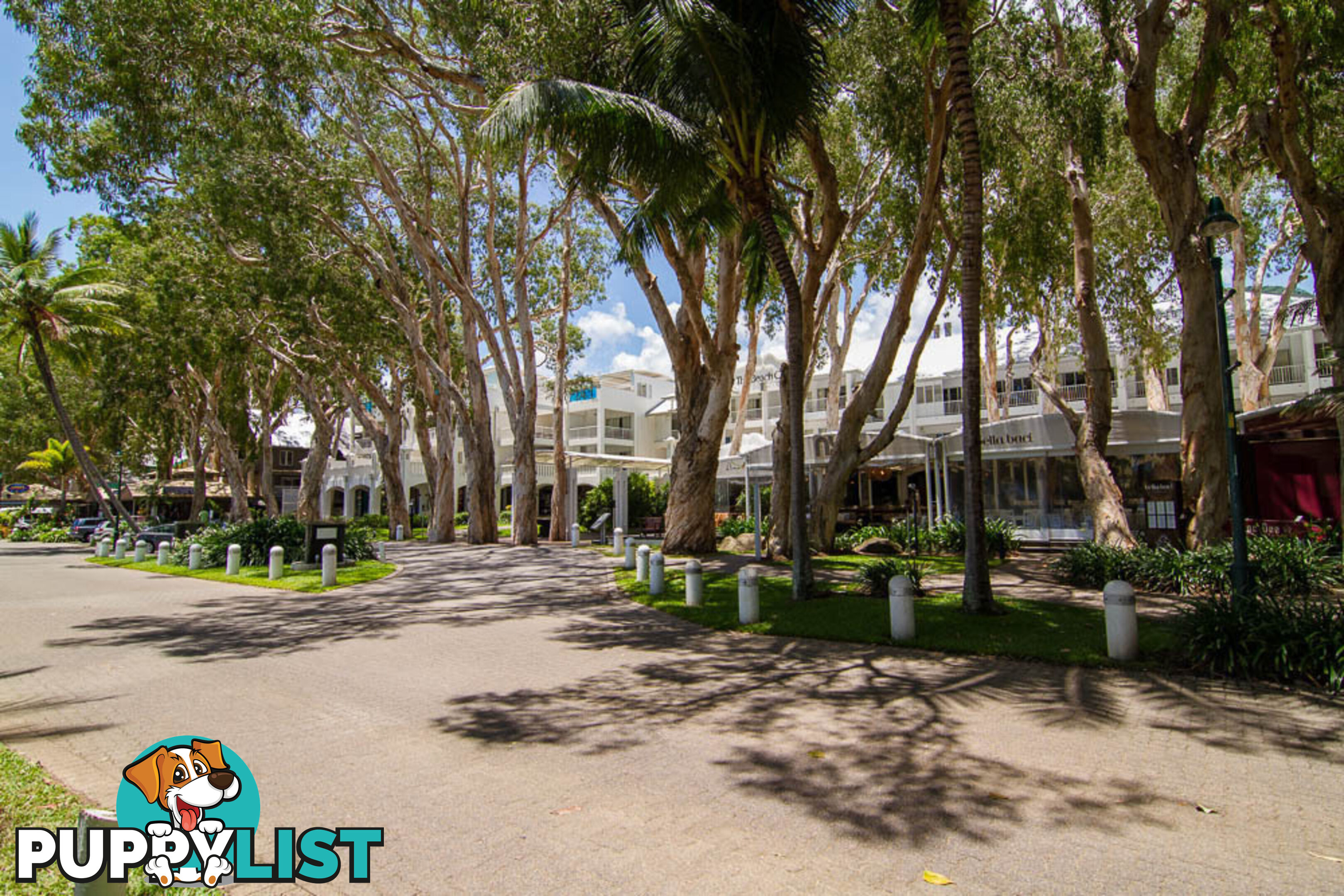 8 Seclusion Drive Palm Cove PALM COVE QLD 4879