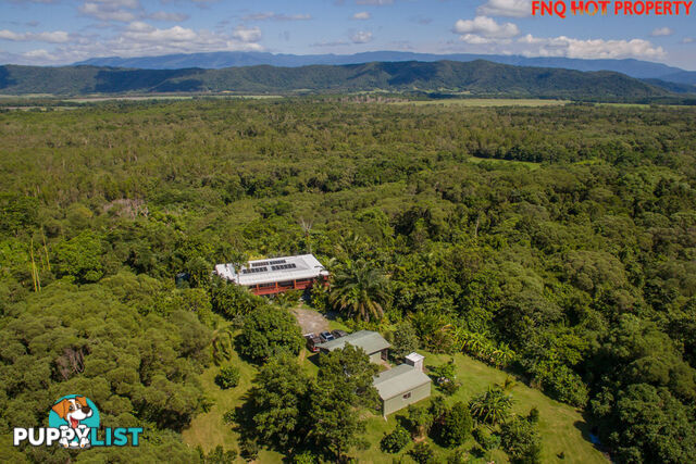 122 Forest Creek Road DAINTREE QLD 4873