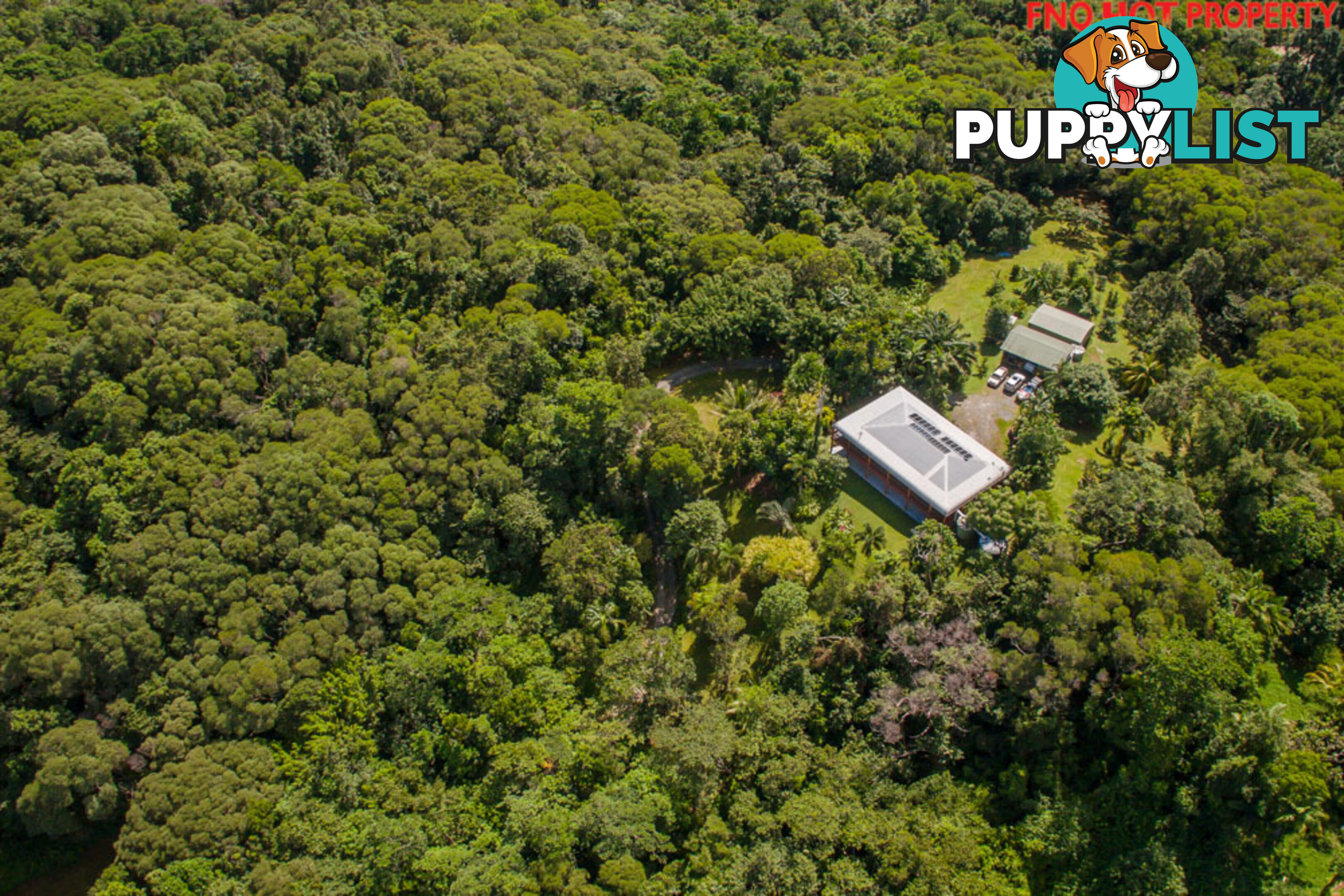 122 Forest Creek Road DAINTREE QLD 4873