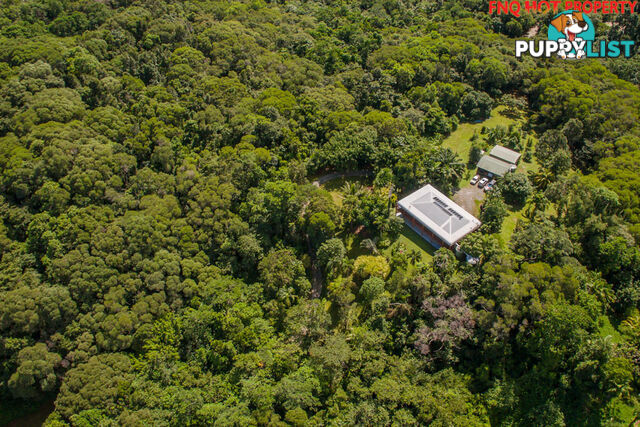 122 Forest Creek Road DAINTREE QLD 4873