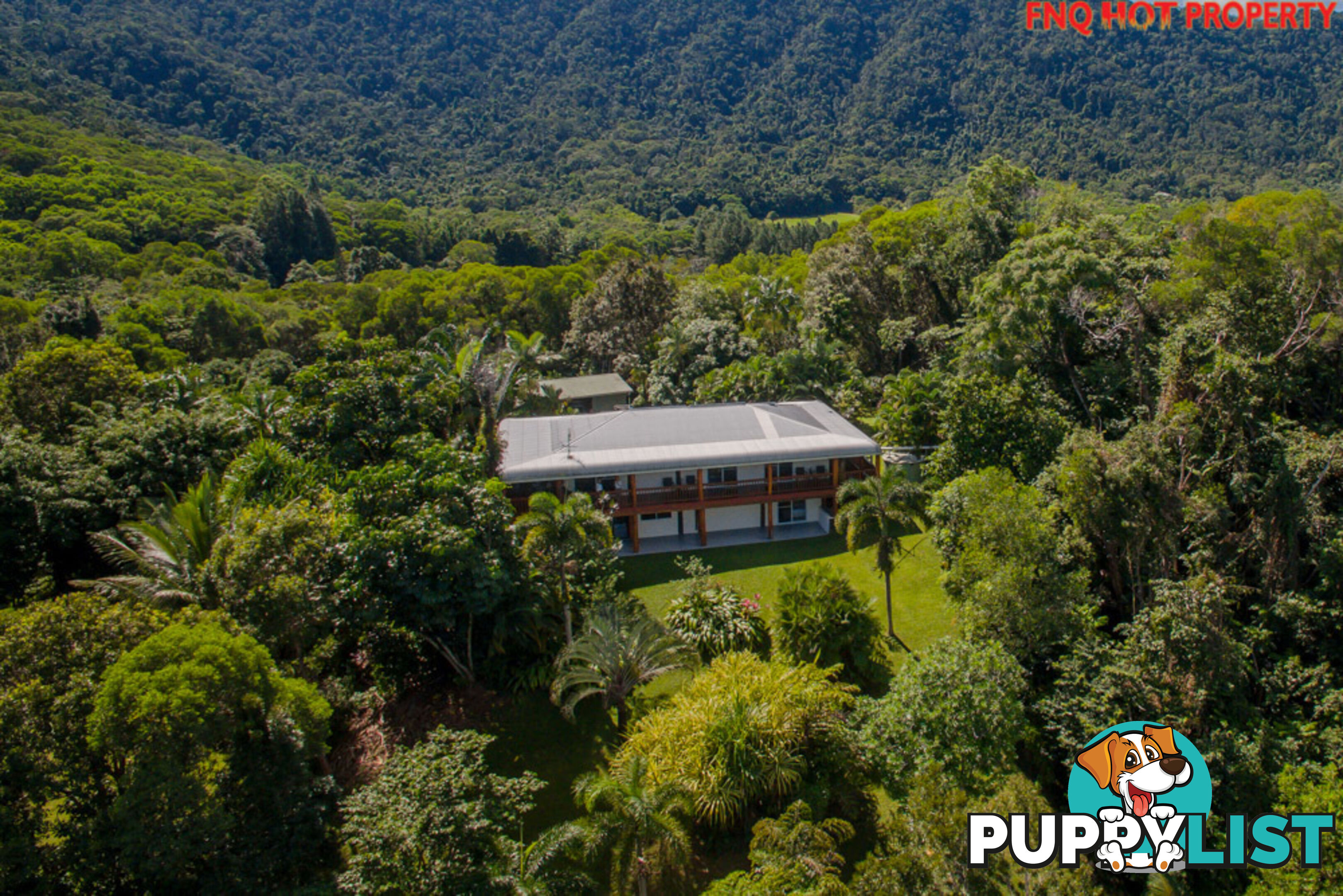 122 Forest Creek Road DAINTREE QLD 4873