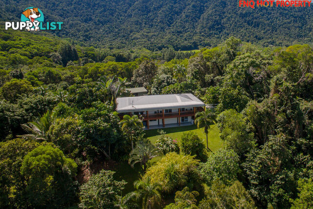 122 Forest Creek Road DAINTREE QLD 4873