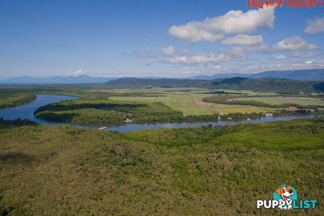 122 Forest Creek Road DAINTREE QLD 4873