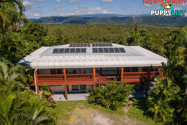 122 Forest Creek Road DAINTREE QLD 4873