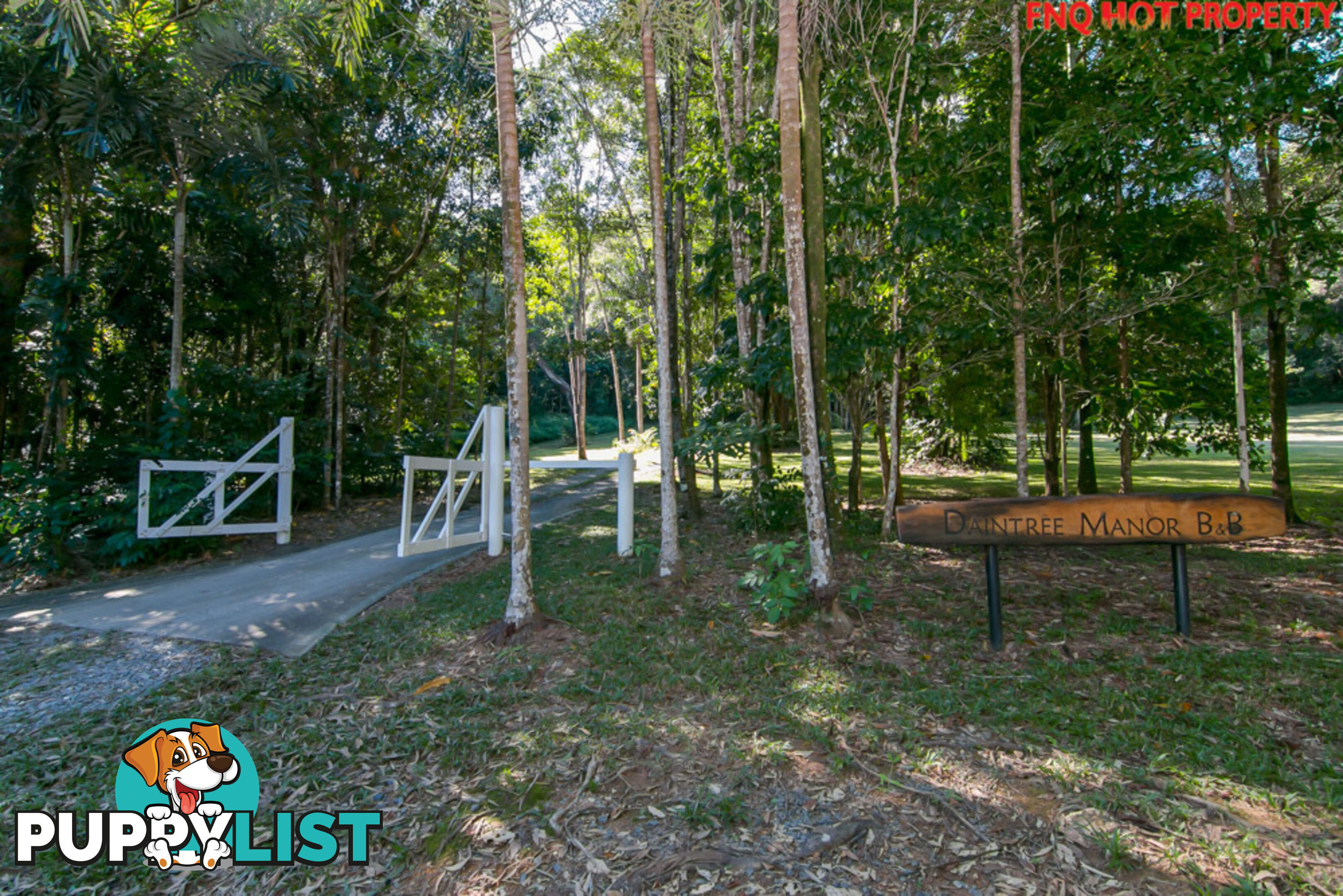 122 Forest Creek Road DAINTREE QLD 4873