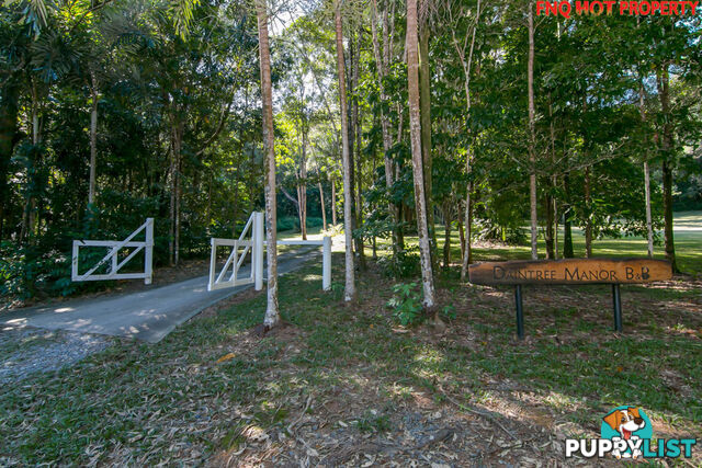 122 Forest Creek Road DAINTREE QLD 4873