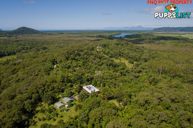 122 Forest Creek Road DAINTREE QLD 4873