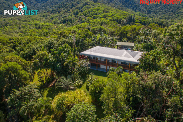 122 Forest Creek Road DAINTREE QLD 4873