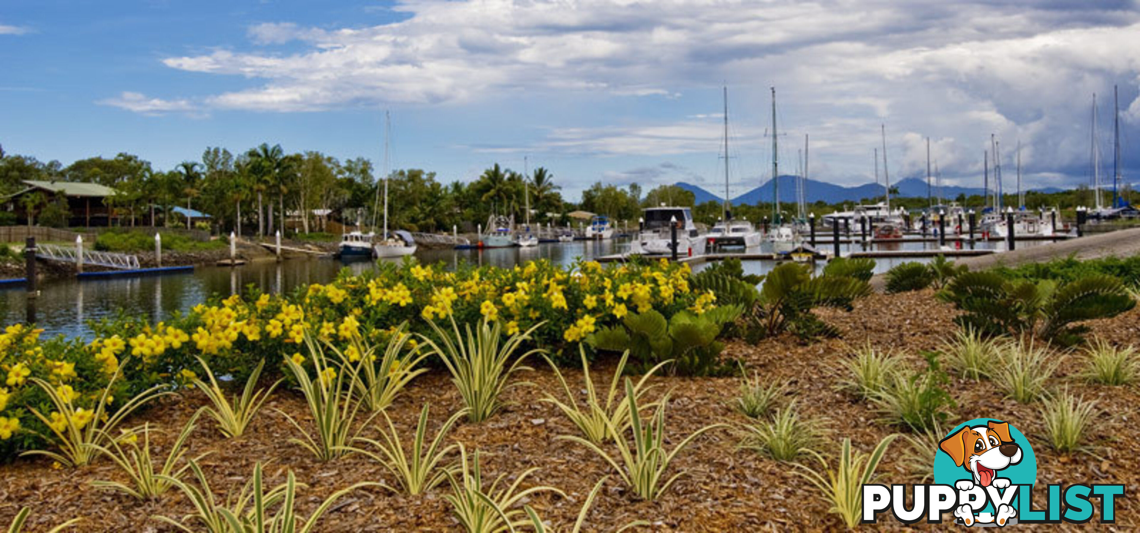 Lot 90 6 Apollo QY TRINITY PARK QLD 4879